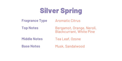 Obsidian Moon Glitter Candle